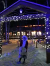 Merry IMG_5064.jpg