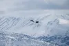 A U.S. Air Force F-22 Raptor assigned to the 3rd Wing flies over Joint Base Elmendorf-Richardson, Alaska, during Polar Force 22-4, April 4, 2022. This is the first Polar Force to be led by th