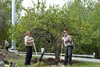 Kertulla Tree Delivery - 3.jpg