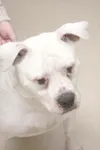 I'm only tough on the outside