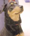 Look at that face