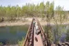 Visitors at Reflections Lake in the Palmer Hay Flats State Game
Refuge venture across a newly installed pedestrian bridge on
Saturday. The bridge completes a mile loop around the lake. (ROBER