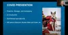 Iditarod COO Chas St. George recently hosted a webinar with Mat-Su Convention and Visitors Bureau marketing and communications manager Casey Ressler to provide a general update on the race an