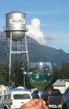 Palmer Buzz: Jan 3, 2018