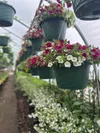 Ken’s Garden Center is hosting their Mother’s Day Market on May 9 and 10 Courtesy photo
