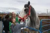 Market Access and Food Safety Manager for the Alaska Division of Agriculture Johanna Herron and her daughter, Jazlyn pet a rescued horse at Birch Tree Charter School. Jacob Mann/Frontiersman