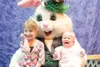 SILLY RABBIT