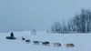Aaron Burmeister leaving McGrath after completing his 24. David Poyzer/Iditarod