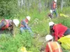 Photo courtesy of Upper Susitna Youth Conservation Corps Workers
from the Upper Susitna Youth Conservation Corps clear trails and
fight invasive weeds during last summer’s program. Organizers
