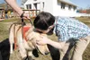 Willie Koonce kisses his new 14-month-old trained yellow Labrador retriever service dog Cookie while touring the old Wasilla Historic Town Site while on a field trip with his classmates last 