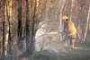 A member of the Central Mat-Su Fire Department douses a brush fire last week on East Hemlock Drive. ROBERT DeBERRY/Frontiersman.com