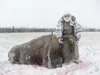 Howard Delo, seen here next to a bison he harvested during a
recent hunting season, has been featured as the Frontiersman’s
weekly outdoors columnist for more than 10 years. Delo worked for
t