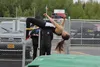 Wasilla junior Ceil Dunleavy clears the bar during the 4A girls' high jump May 20, 2016, the first day of the Region III Championships track and field meet at Colony High School. Dunleavy won