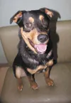 Needs a home