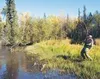 Another rainbow gets hooked by an angler on a gorgeous fall day
Saturday. Rainbow fishing is just heating up as the season winds
down and temperatures dip. Photo by Casey Ressler/Frontiersman