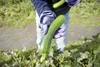 Tips for growing and enhancing your own food supply will be available, along with other information about a variety of backyard agricultural endeavors, at the Food Security Workshop on Saturd
