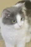 Ready to cuddle