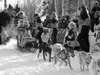 DeeDee Jonrowe gets ready to start the Iditarod, which begins
the first weekend in March every year. Frontiersman file photo.