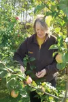VICKI NAEGELE/for the Frontiersman Marian Elliott, who fills her
front yard with perennials, enjoys the bounty of her backyard where
husband, Dan, grows apple trees. She said growing things “