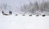LANIER HUTCHESON/Frontiersman A team of dogs pulls a sled in
preparation for the start of Saturday'€™s beginning of the two-day
Alaska Excursions 120 sled dog race.