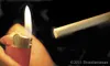 A bid to make Palmer smoke-free could make it the first city in
the Mat-Su Borough to ban smoking in public places. The ordinance
would prohibit smoking in all indoor work places and places o