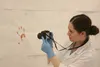 Burchell Sophomore Ina Martusheff photographs a bloody handprint June 2 at the Burchell High summer Forensic Academy’s simulated crime scene. Instructors used real sheep’s blood to create the