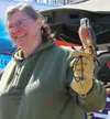 Shannon Jensen, Executive Director of AK Wild Bird Rehabilitation and American Kestrel Rusty, stopped by the Earth Day Celebration over the weekend in Talkeetna Katie Stavick/Frontiersman