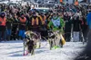 Ryan Redington arriving first to the finish line under the burled arch in Nome in 2023. David Poyzer/Iditarod