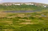 Pebble Partnership Ltd. filed a permit application Friday with the U.S. Army Corps of Engineers for its proposed large copper, gold and molybdenum mine near Lake Iliamna, 200 miles southwest 