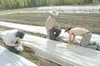 RUSSELL STIGALL/Frontiersman For the second summer in a row
Chris Capitan, blue hat, has traveled from Detroit to work with
Palmer residents Logan Bean, straw hat, and Mitch Laird. The three
