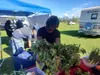 Yasinta Shumaker attends to her booth at the Wasilla Farmer's Market. Jacob Mann/Frontiersman