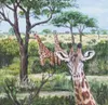 ‘Giraffes of Tanzania’ by artist Pat Bliss.