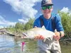 Dolly Llamas are the quintessential Alaska fly. I don't think anybody should be without them when fishing anywhere in the state. Larger, brighter llamas are great for targeting salmon later i