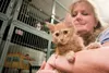 Rhonda Weinrick, who heads up the AK Cat resuce group, holds a kitten Saturday morning at her Wasilla location. Weinrick would like to see the relationship between local rescue groups and Mat