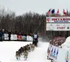 Five-time Iditarod champion Dallas Seavey, seen here coming out of the chute March 3, was forced to dispatch a female moose during an encounter near Skwenta. ITC officials say that one of Sea