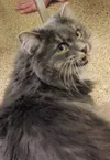 You talkin' to me?