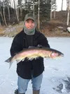 Larger fish, like this rainbow trout, may be more difficult to catch when there is a large abundance of 9-inch salmon in a Mat-Su lake. Courtesy of Andy Couch