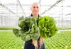 Issue No. 53: Leafy Greens in Michigan