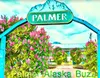 Palmer Buzz