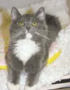 Too cute