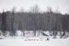 Dallas Seavey is the first to arrive at Skwentna DAVID POYZER/Iditarod