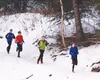 Kenai High School skiers run down one of the non-skiing trails at Government Peak Recreation Area during Winter Trails Day, sponsored by REI and hosted by the Mat-Su Borough, Mat-Su Ski Club,