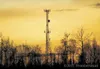 In a 5-2 vote last week, the Mat-Su Borough Assembly decided to
ask voters whether towers should be required to be at least the
same distance from property lines as they are tall. (ROBERT
DeB