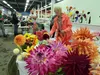 Tammy Ratliff attends to her entries at the Alaska State Fair Wednesday, Sept. 1. Jacob Mann/Frontiersman