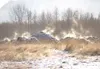 ROBERT DeBERRY/Frontiersman Steam rises Monday morning from more
than a dozen mounds of compost left in a field at the corner of
Trunk Road and the Palmer-Wasilla Highway.