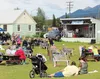 The Palmer Ale House offered lived music on the green during this year’s fair. The pub says more concerts on the green are planned throughout the summer. Jenny Weaver/For the Frontiersman