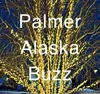 Palmer Buzz