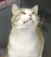 Chin up