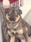 Needs a home
