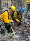 Firefighters check for heat in the black of the Bear Creek Fire on June 29, 2025. Even if smoke is not visible, there could be active fire in the duff, resulting in ash pits and hazard trees.